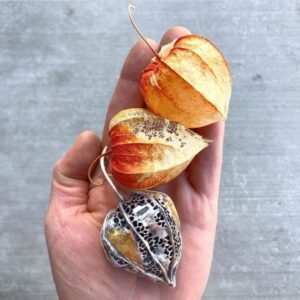 Ubilla Electroformado